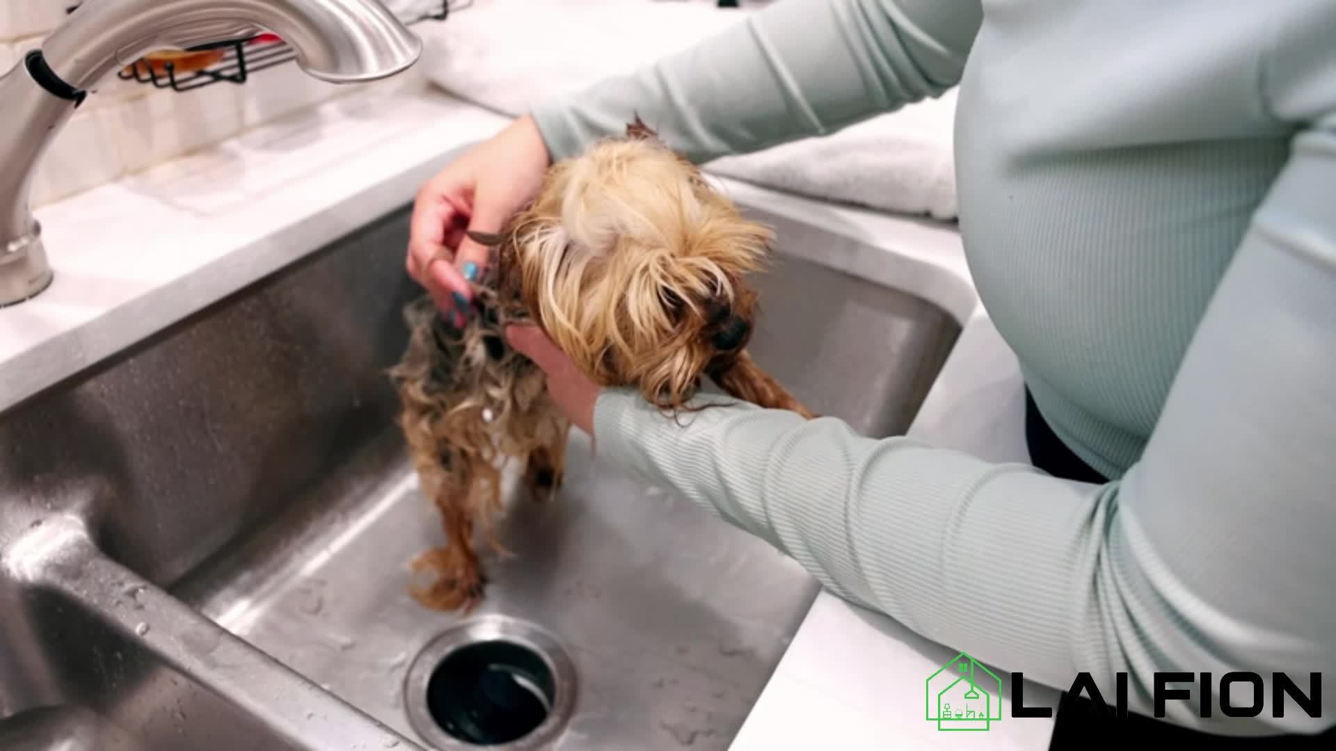 1pc, Dog Clippers Grooming Kit Hair Clipper-Low Noise Paw Trimmer- Rechargeable - Cordless Quiet Nail Grinder Shaver for Cats And Other Pets