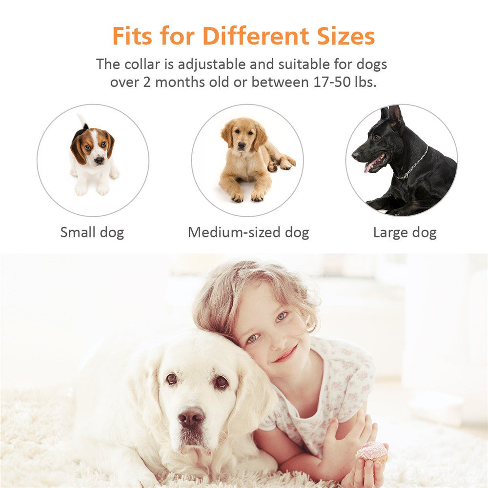 Dog Anti-Bark Collar for Large Dogs , Static Shock & Vibration Training Collar with 5 Adjustable Sensitivity Levels Beep & Shock