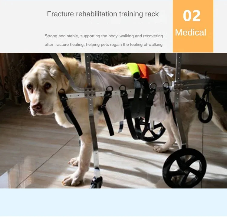 Four-wheeled Double-deck Assistance Car Rehabilitation Dog Leg Assistance Car Medium and Large Disabled Dog Scooter Pet Supplies