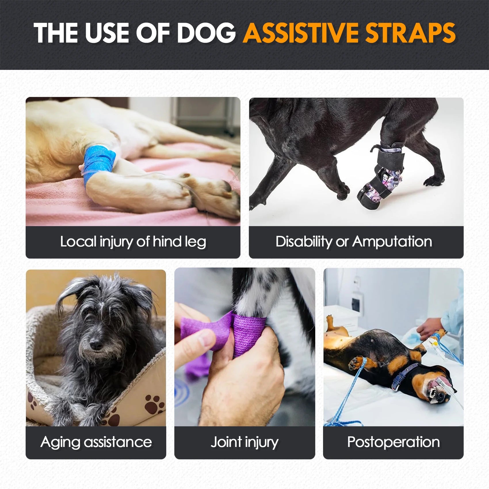 Dog Sling for Large Dogs Hind Leg Support to Help Rehabilitate The Hind Limbs of Elderly Dogs with Weak Hind Legs Disabilities