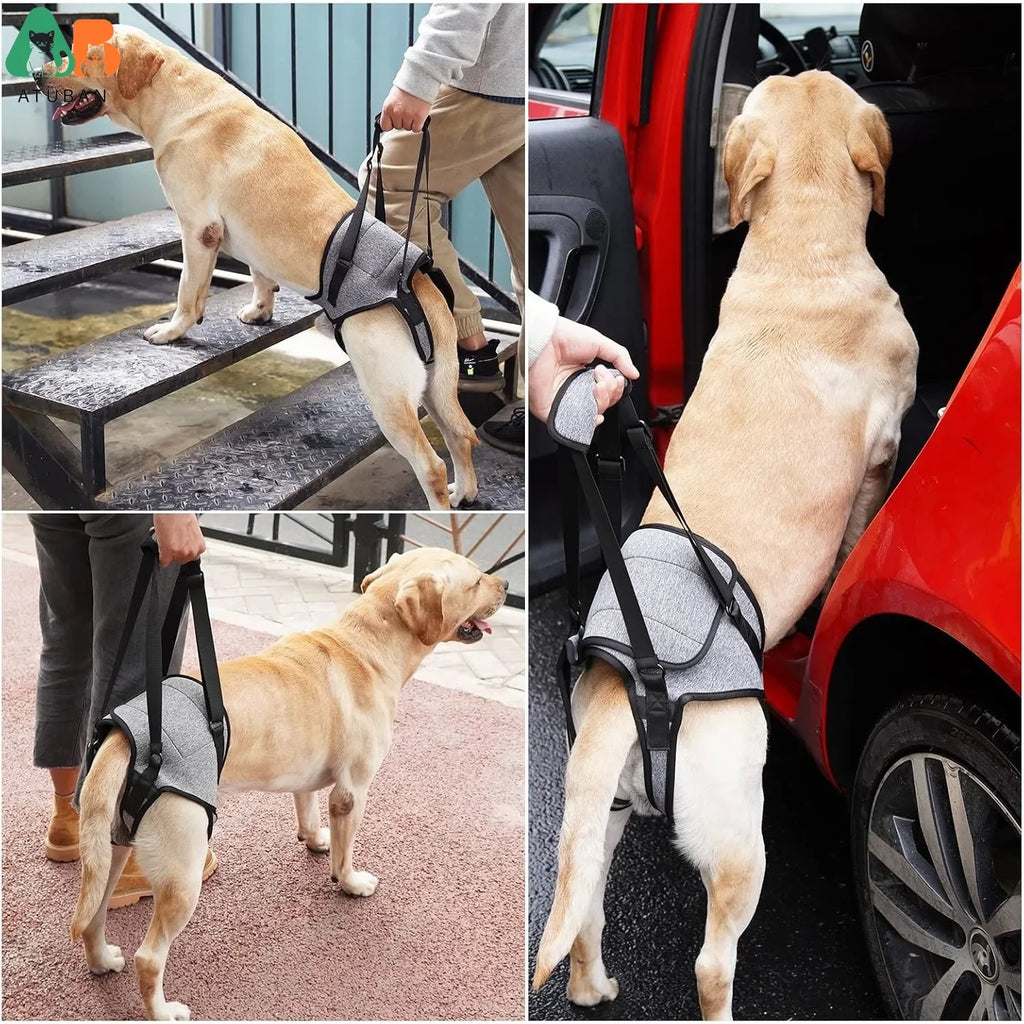Dog Sling for Dogs Hind Leg Support to Help Rehabilitate The Hind Limbs of Elderly Dogs Weak Hind Legs Disabilities and Injuries