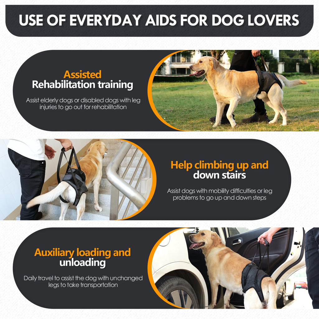 Dog Sling for Large Dogs Hind Leg Support to Help Rehabilitate The Hind Limbs of Elderly Dogs with Weak Hind Legs Disabilities