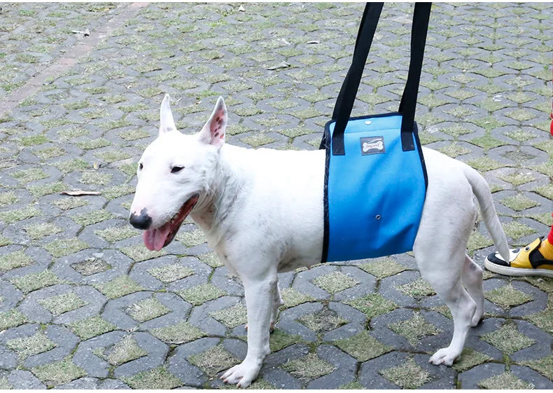 Pet Support Sling For Old Dogs - Adjustable Dog Lift Sling Harness For Back Legs To Help Weak Legs Stand Up, Aid Assist Tool