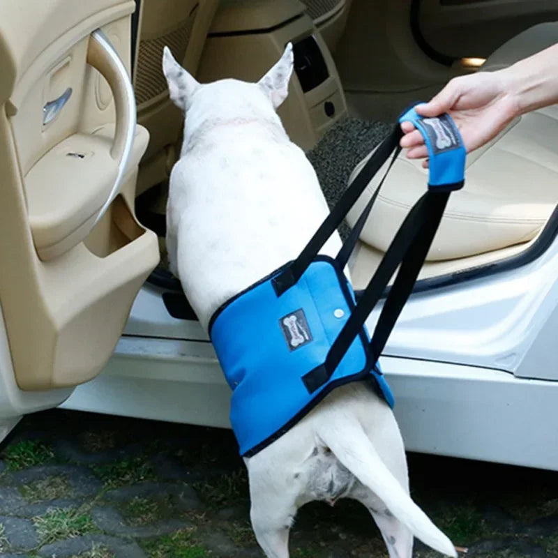 Pet Support Sling For Old Dogs - Adjustable Dog Lift Sling Harness For Back Legs To Help Weak Legs Stand Up, Aid Assist Tool