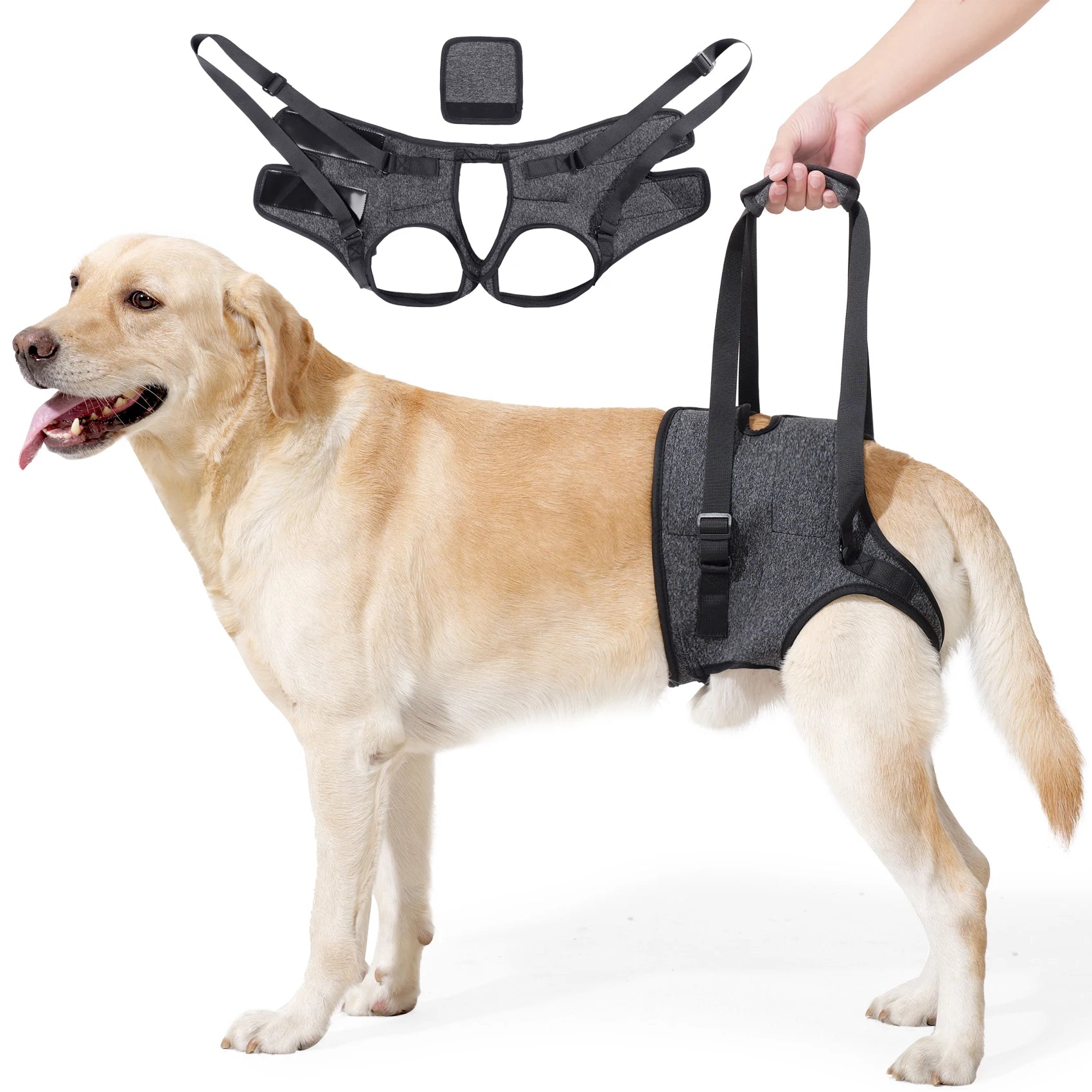 Dog Sling for Large Dogs Hind Leg Support to Help Rehabilitate The Hind Limbs of Elderly Dogs with Weak Hind Legs Disabilities