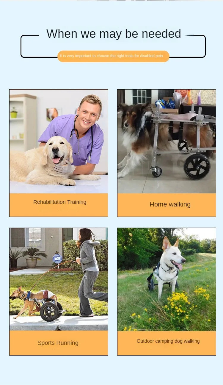 Four-wheeled Double-deck Assistance Car Rehabilitation Dog Leg Assistance Car Medium and Large Disabled Dog Scooter Pet Supplies