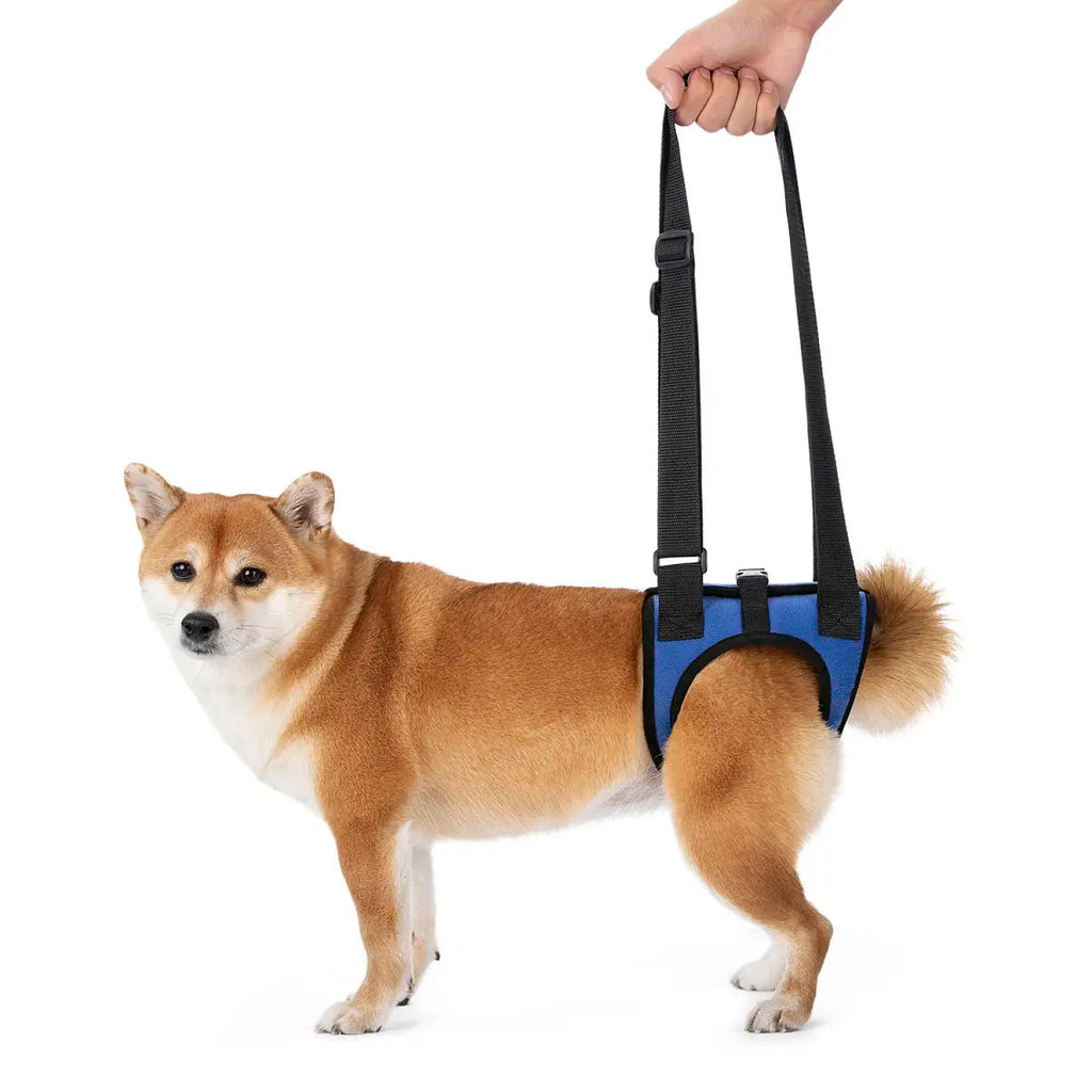 Senior Dog Rear Leg Support Harness for Weakness & Disability Adjustable Pet Mobility Aid Hind Leg Rehabilitation