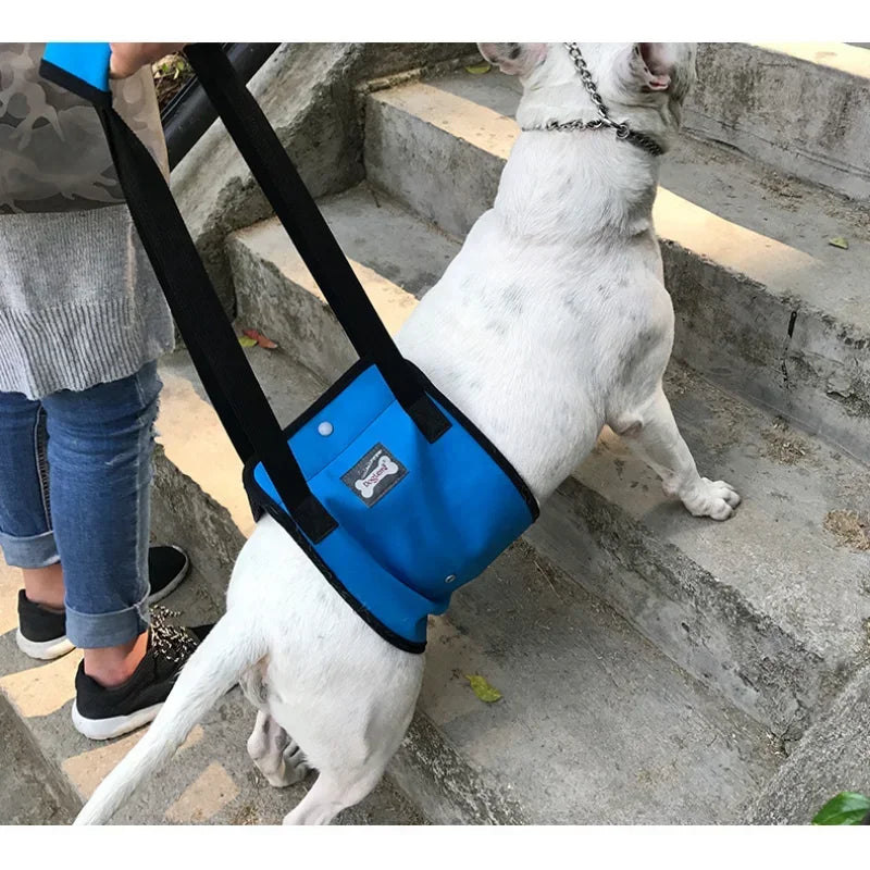 Pet Support Sling For Old Dogs - Adjustable Dog Lift Sling Harness For Back Legs To Help Weak Legs Stand Up, Aid Assist Tool