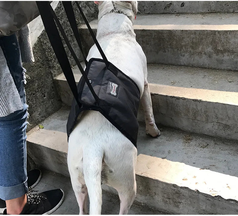 Pet Support Sling For Old Dogs - Adjustable Dog Lift Sling Harness For Back Legs To Help Weak Legs Stand Up, Aid Assist Tool