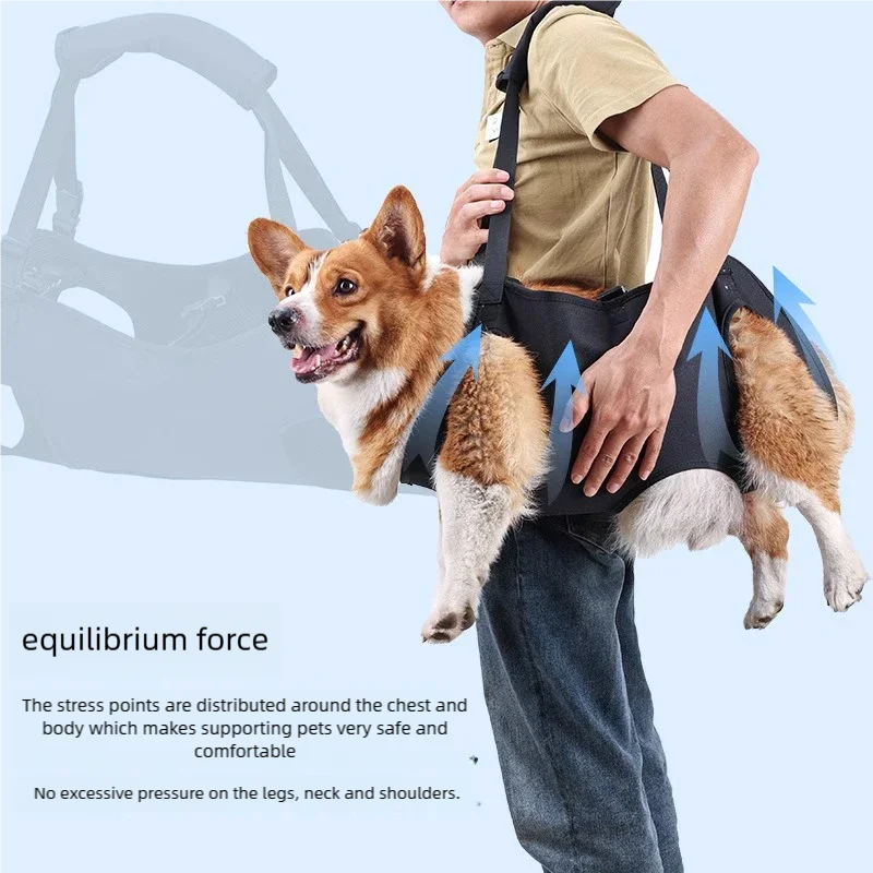 Dog-Assisted Rehabilitation Exercises for Elderly Disabled Dogs, Take You Upstairs and Help with Carrying Pet Backpacks