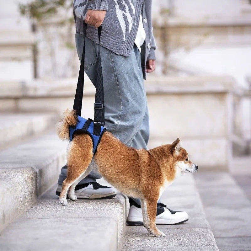 Senior Dog Rear Leg Support Harness for Weakness & Disability Adjustable Pet Mobility Aid Hind Leg Rehabilitation