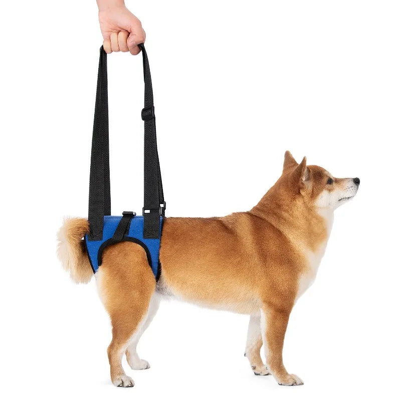 Senior Dog Rear Leg Support Harness for Weakness & Disability Adjustable Pet Mobility Aid Hind Leg Rehabilitation