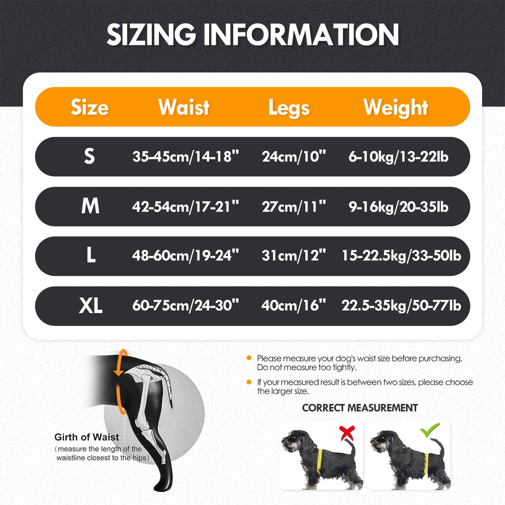Dog Sling for Large Dogs Hind Leg Support to Help Rehabilitate The Hind Limbs of Elderly Dogs with Weak Hind Legs Disabilities
