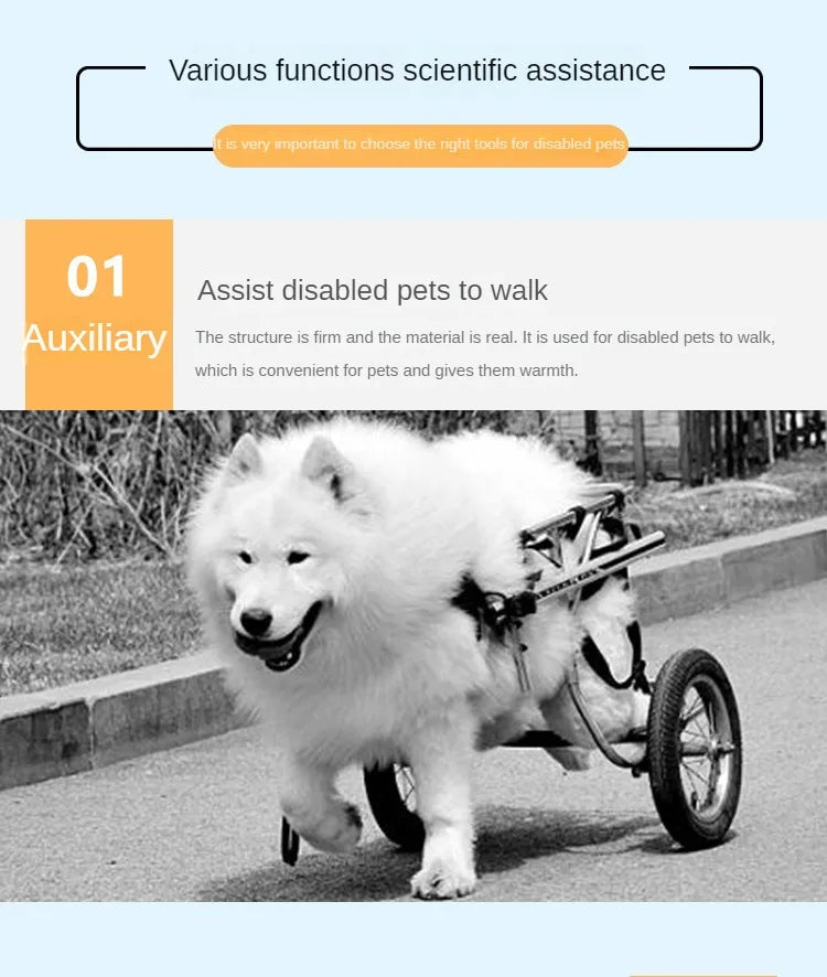 Four-wheeled Double-deck Assistance Car Rehabilitation Dog Leg Assistance Car Medium and Large Disabled Dog Scooter Pet Supplies