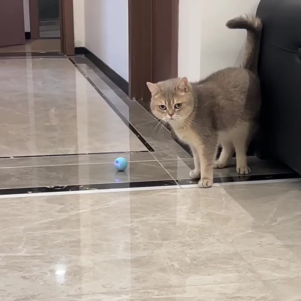 Smart Interactive Cat Toy with Self-Rotating Obstacle-Avoiding Rolling Ball, USB Electric Pet Exercise Ball with LED Lights & Motion Tracking, Safe Design for Indoor Play - Compatible with Cats & Small Pets, Foam Balls for Ca